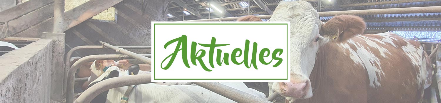 Aktuelles - Dornwiesenhof in Fichtenberg-Mittelrot / Ferienwohnung - Bäckerei - Hofladen - Eis - Schnapsbrennerei - Events